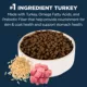 Product Authority® Sensitive Stomach & Skin Cat Dry Food - Turkey & Rice, With-Grain