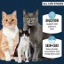 Authority® Sensitive Stomach & Skin Cat Dry Food - Turkey & Rice, With-Grain image thumbnail 2