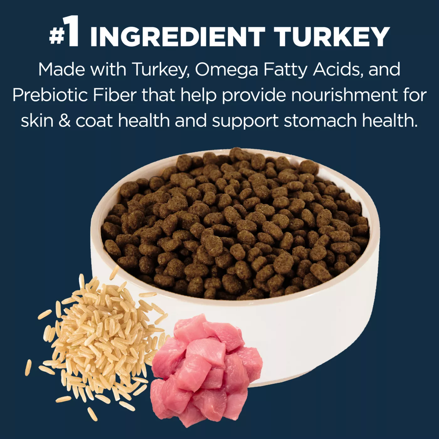 Authority Sensitive Stomach Skin Cat Dry Food Turkey Rice With Grain