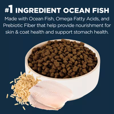 Product Authority® Sensitive Stomach & Skin Cat Dry Food - Ocean Whitefish & Rice, With-Grain