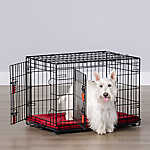 small dog kennels travel