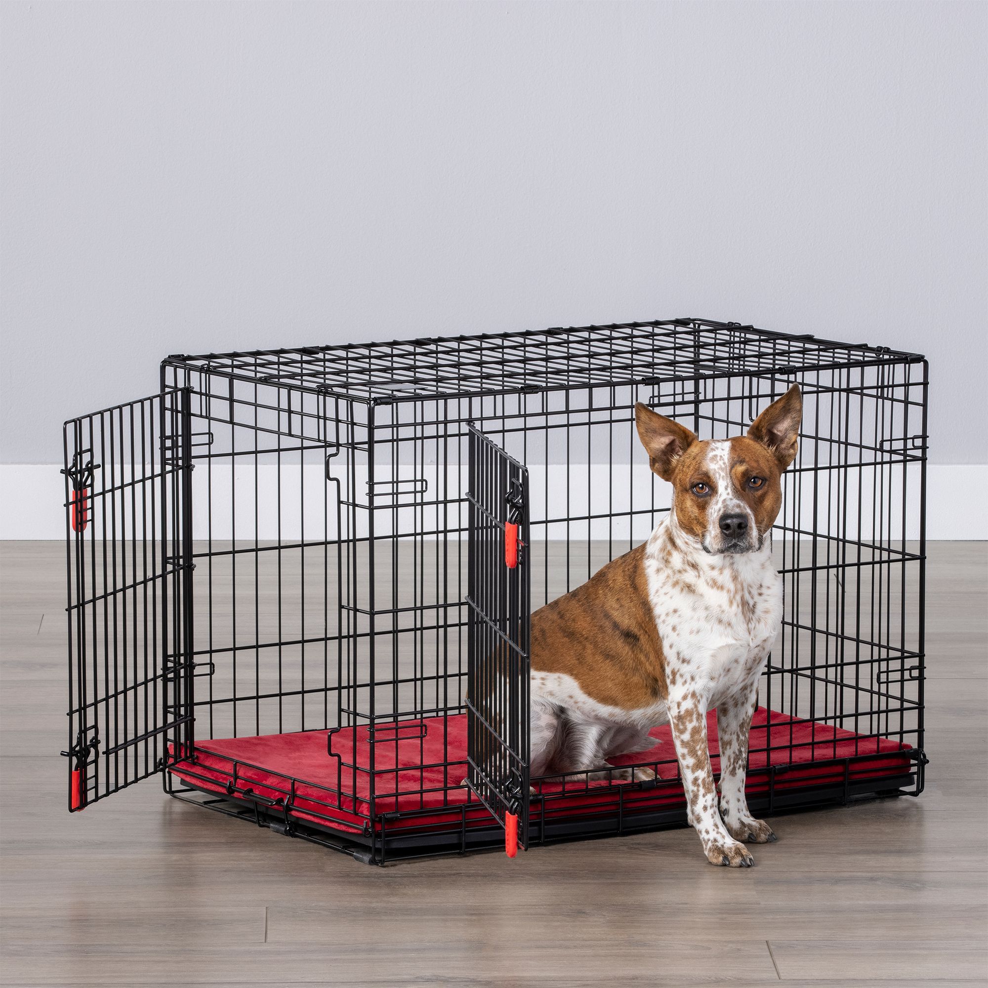 KONG Ultra Strong Double Door Wire Dog Crate with Divider Panel