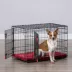 KONG® Ultra-Strong & Durable Double Door Wire Dog Crate w/ Divider Panel - Small, Medium, Large, X-L image thumbnail 1