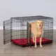 Product  KONG Ultra-Strong Double Door Wire Dog Crate with Divider Panel