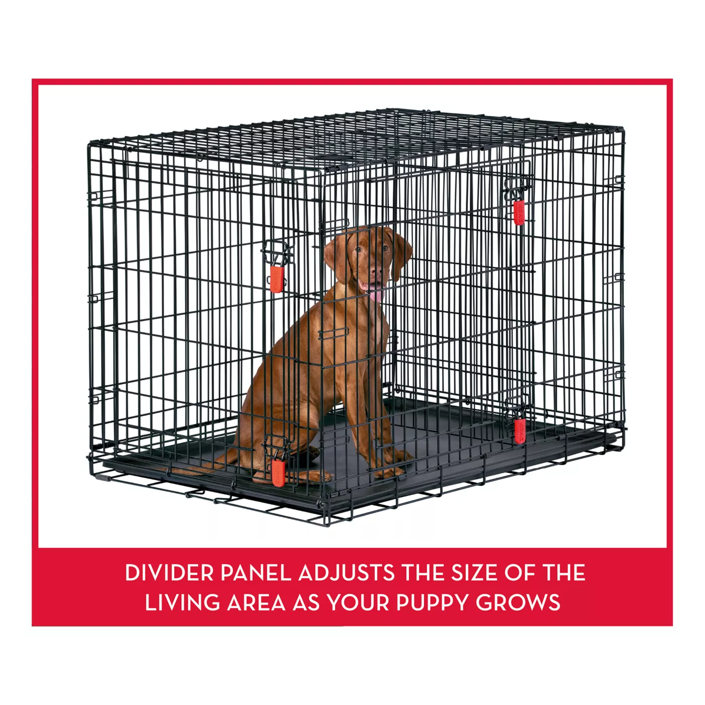 Dog training crate with divider hotsell