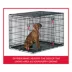 KONG® Ultra-Strong Double Door Wire Dog Crate with Divider Panel image thumbnail 5