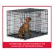 Product  KONG Ultra-Strong Double Door Wire Dog Crate with Divider Panel