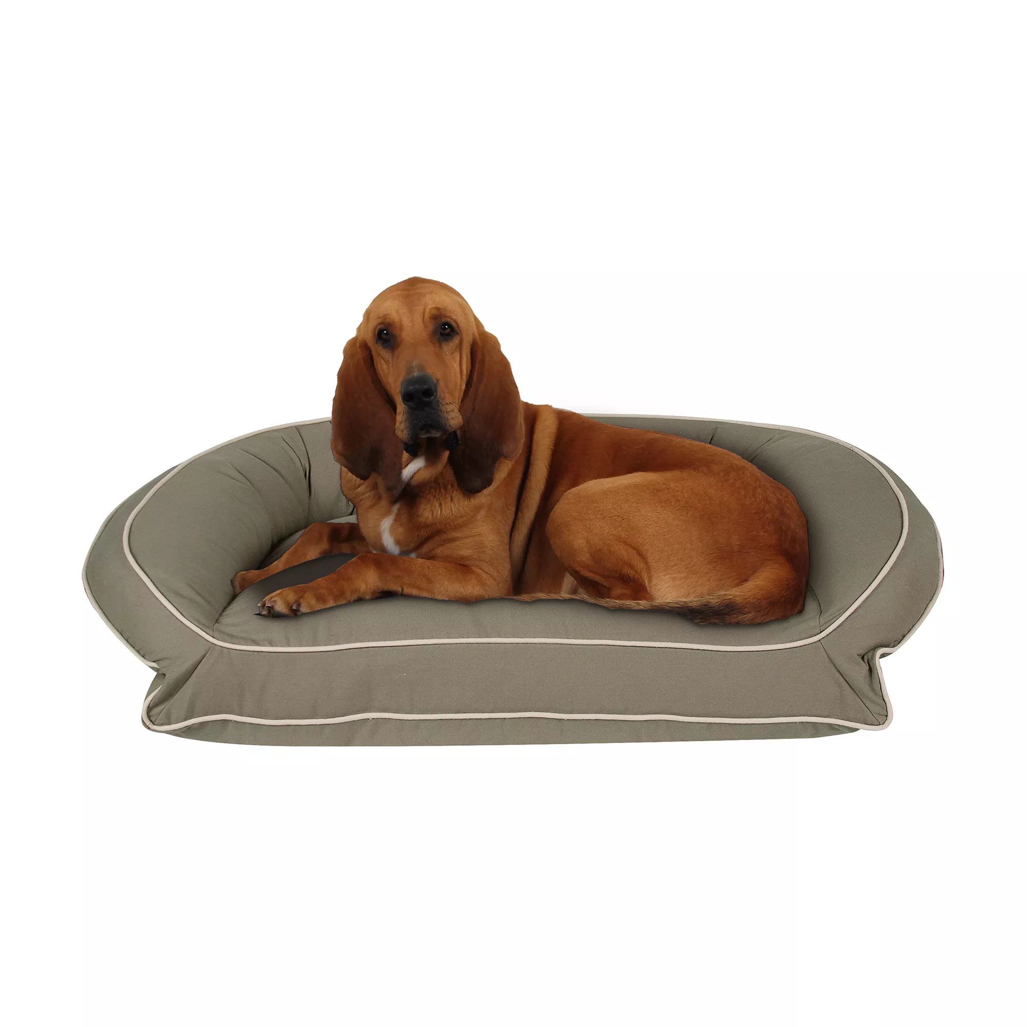 Carolina Pet Company Classic Canvas Bolster Dog Bed - Sage