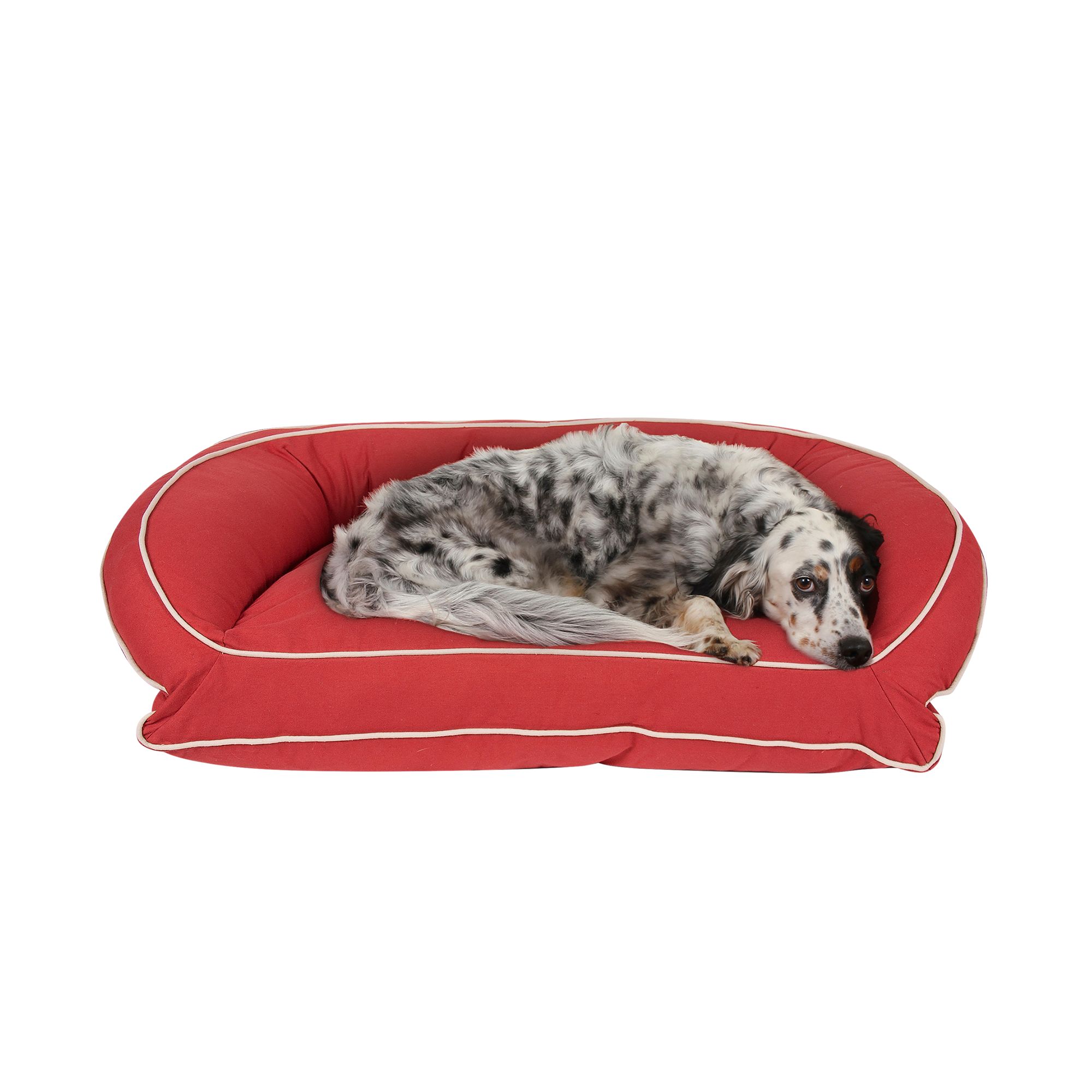 Carolina Pet Company Classic Canvas Bolster Dog Bed Barn Red dog Pillow Beds PetSmart