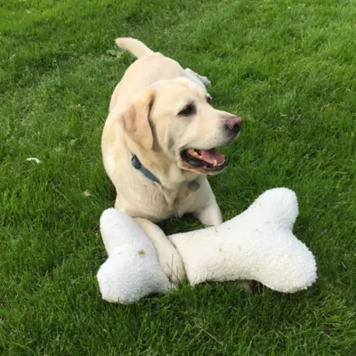 Carolina Pet Company Sherpa Fleece Bone Pillow Toy - Image 2