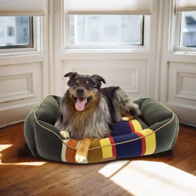 Product Pendleton Badlands National Park Kuddler Dog Bed