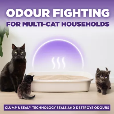 Arm & Hammer Slide Easy Clean-Up Cat Litter - Clumping, Multi-Cat - Image 3