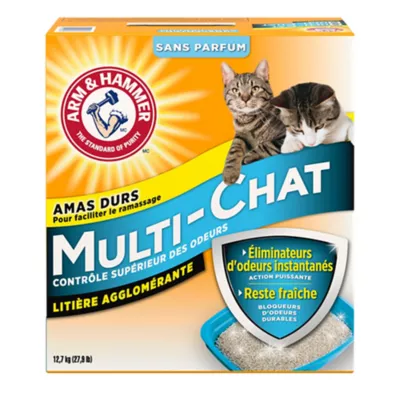 Product Arm & Hammer Traditional Cat Litter - Multi-Cat, Fragrance-Free