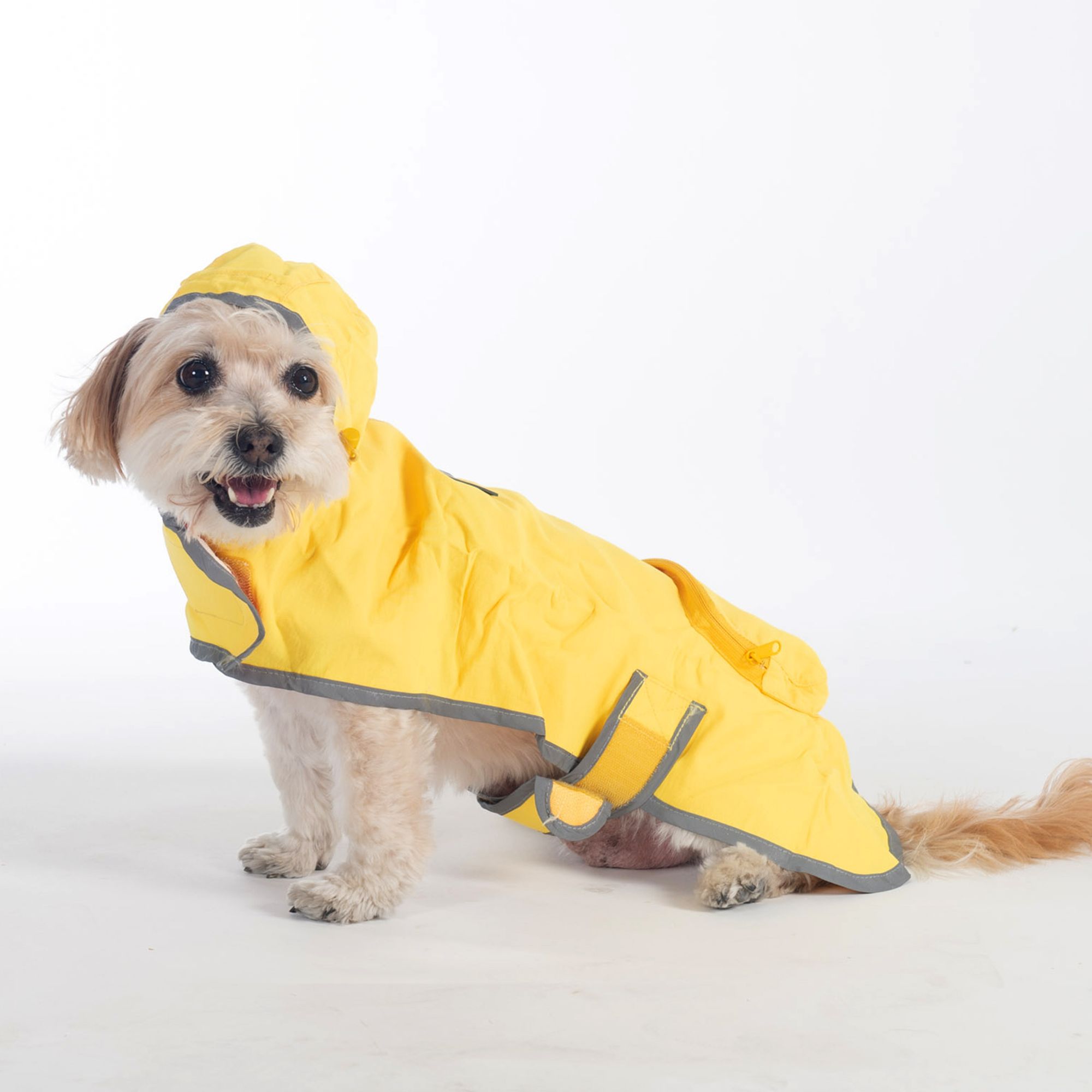 Dog rain 2025 poncho petsmart