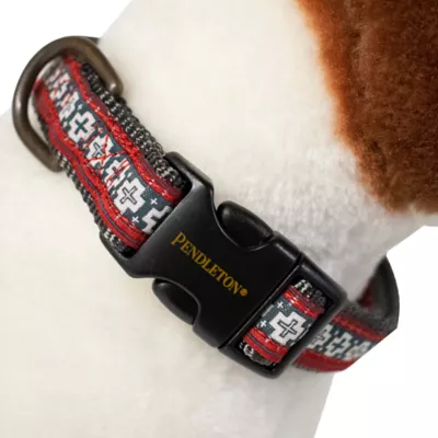 Product Pendleton San Miguel Dog Collar