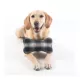 Product Pendleton Charcoal Ombre Plaid Pet Throw and Bone Toy Combo Set