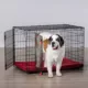 Product  KONG Ultra-Strong Double Door Wire Dog Crate with Divider Panel