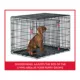 Product  KONG Ultra-Strong Double Door Wire Dog Crate with Divider Panel