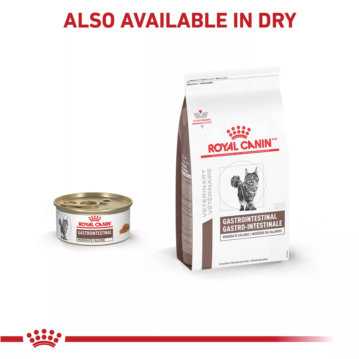 Royal Canin Gastrointestinal Moderate Calorie Adult Cat Thin Slices in Gravy Wet Food 3 oz can