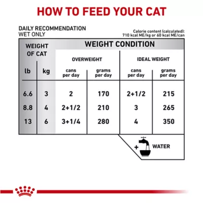 Product Royal Canin® Gastrointestinal Moderate Calorie Adult Cat Thin Slices in Gravy Wet Food  3 oz can