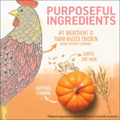 Product Purina® Beyond® Kitten Kitten Cat Dry Food - Chicken, High-Protein, Natural