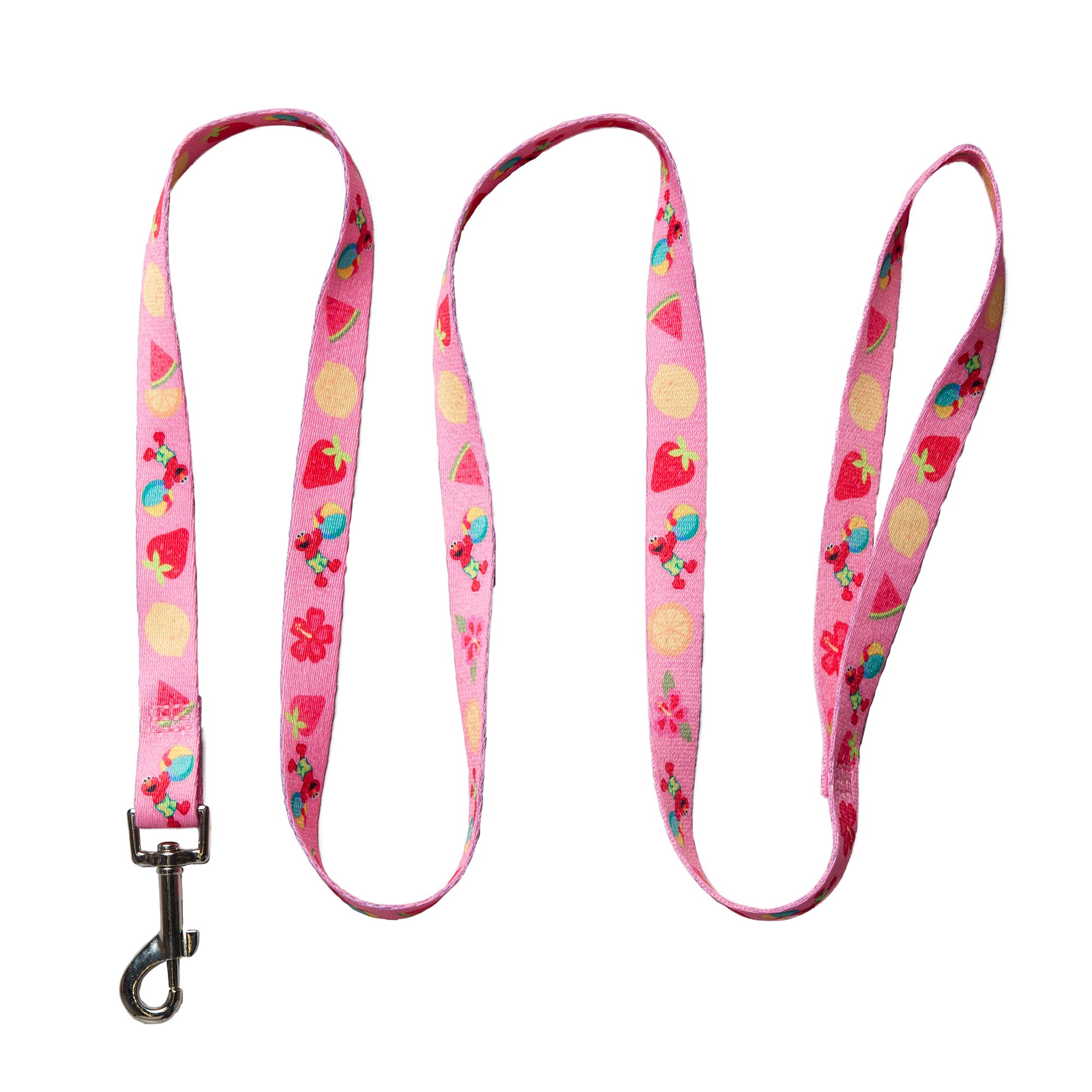 Dog Leashes & Leads: Retractable Leashes | PetSmart Canada