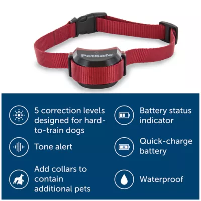 PetSafe Stay Play Wireless Fence for Stubborn Dogs