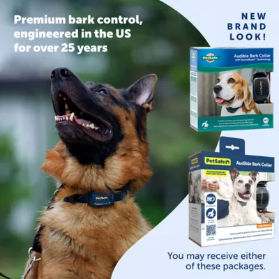 Petsmart shock collar reviews best sale