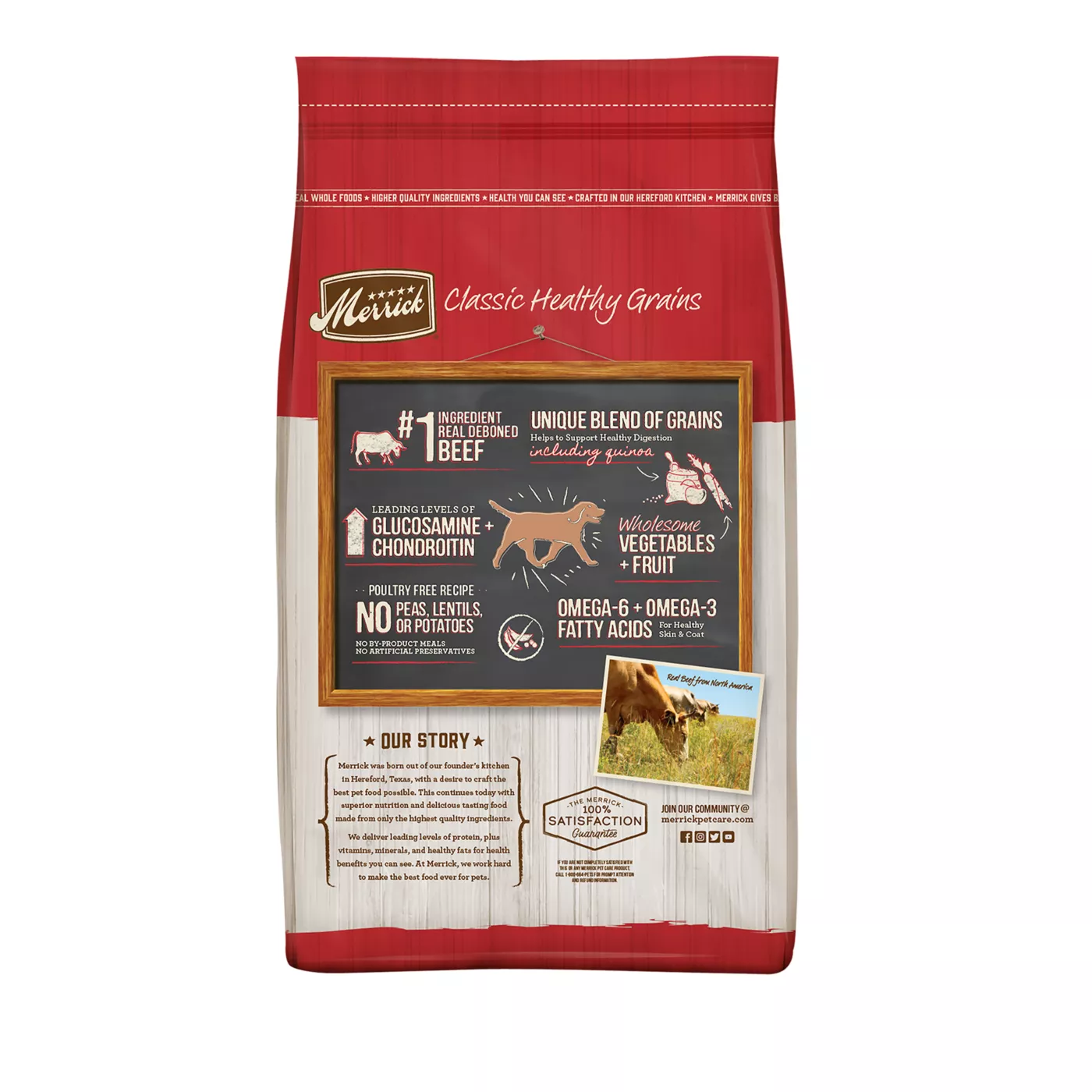 Best tasting healthy dog food best sale