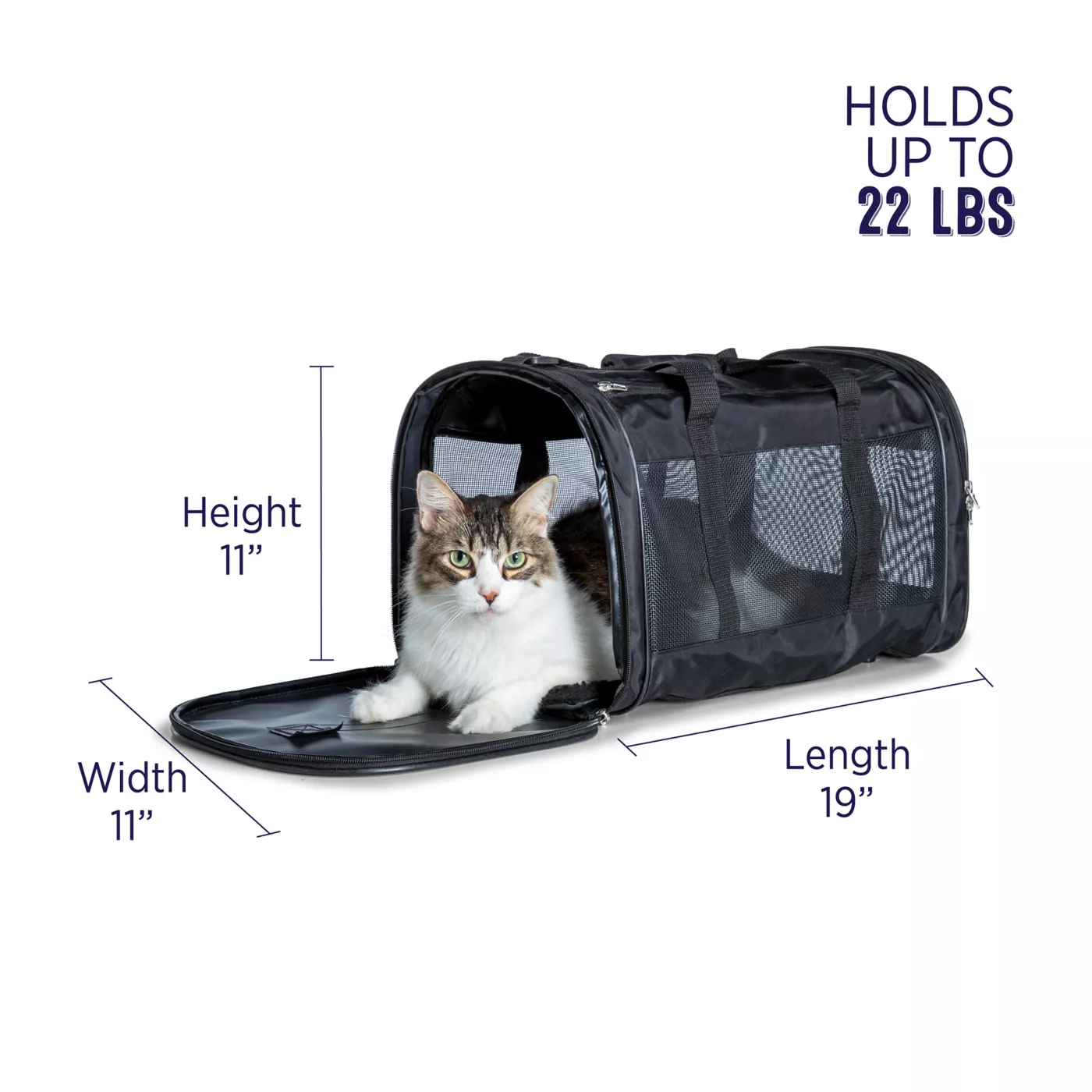 Cat backpack petsmart hotsell