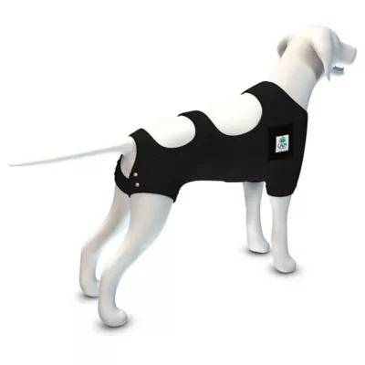 Product Calm Paws Premium Recovery Vest and Calming Disk for Dogs