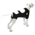Calm Paws Premium Recovery Vest and Calming Disk for Dogs image thumbnail 5