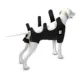 Product Calm Paws Premium Recovery Vest and Calming Disk for Dogs