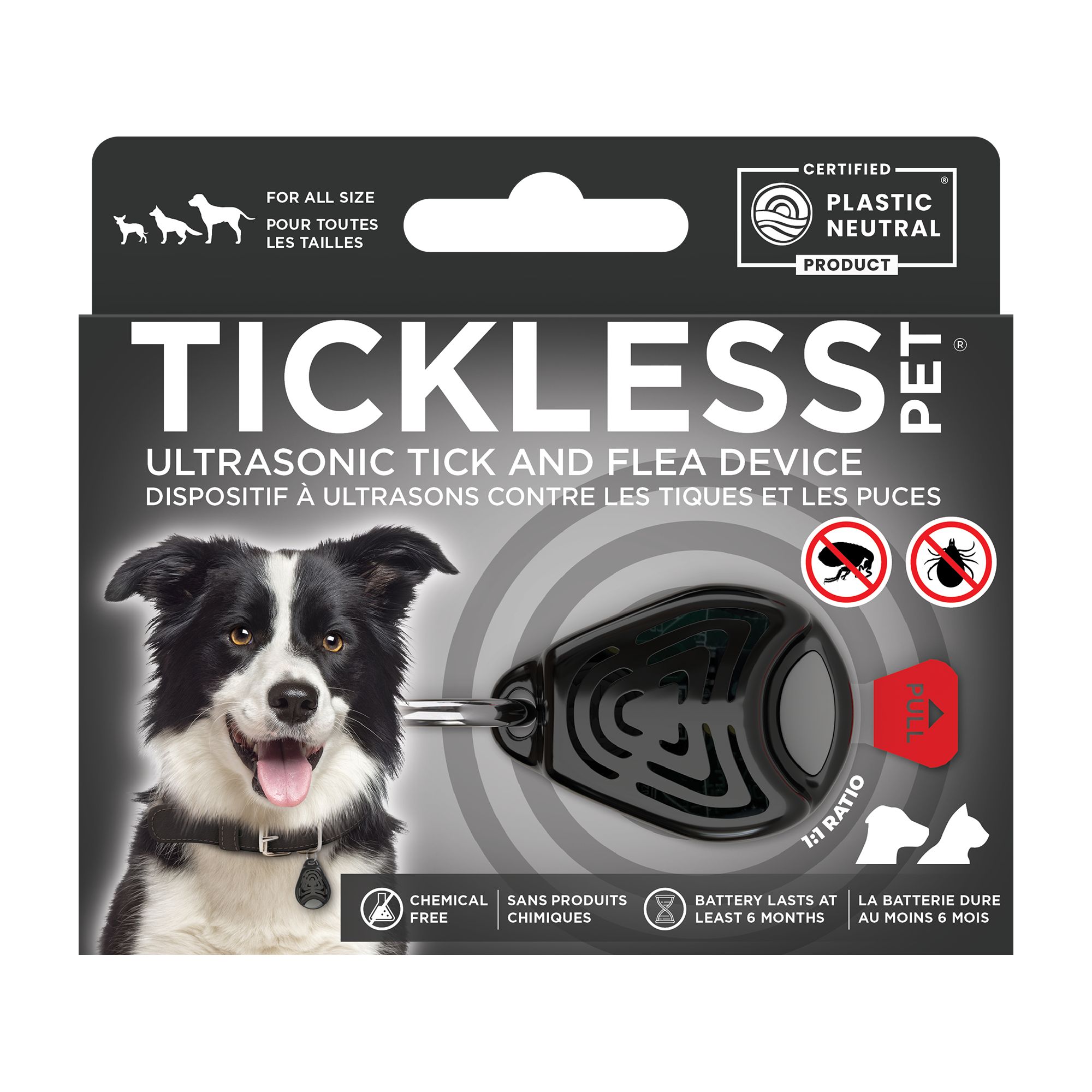 Anti flea collar best sale