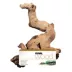 Fluval Mopani Driftwood Ornament image thumbnail 1