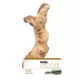 Product Fluval Mopani Driftwood Ornament