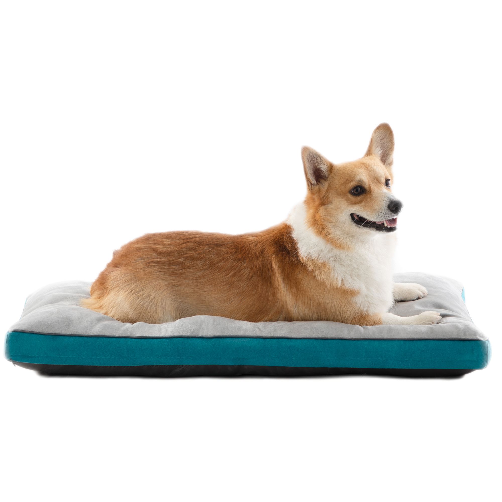 Tempur pedic 2025 dog bed petsmart