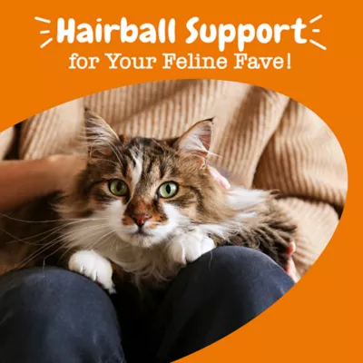 Petsmart hairball remedy best sale