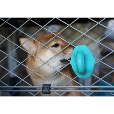 Product Diggs Groove Crate Training Aid - Ice