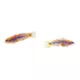 Product Peacock Gudgeon