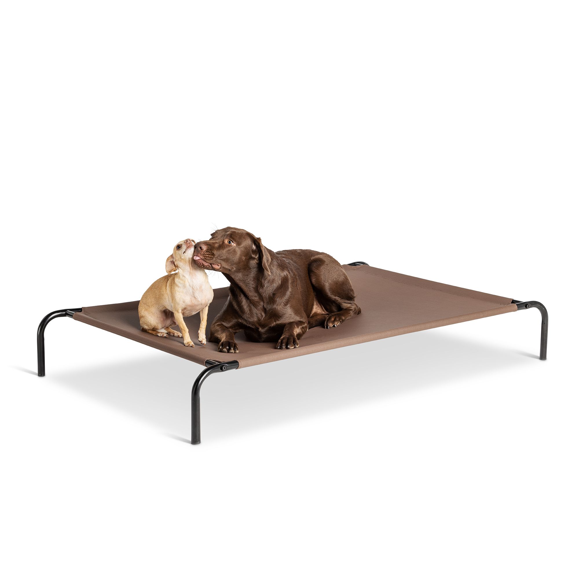 Top Paw Indoor Outdoor Elevated Dog Bed