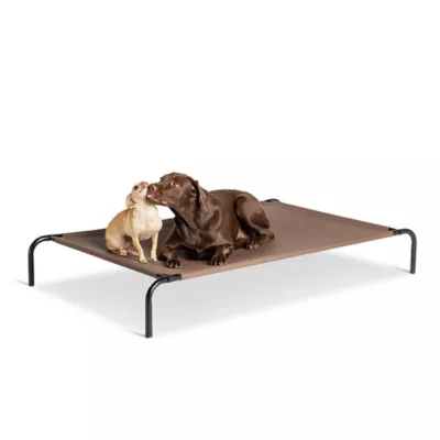 Product Top Paw® Indoor/Outdoor Elevated Dog Bed