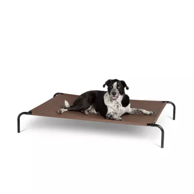 Product Top Paw® Indoor/Outdoor Elevated Dog Bed
