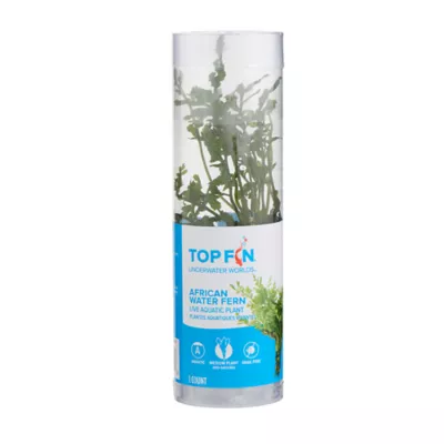 Product Top Fin® African Water Fern Live Plant