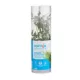 Product Top Fin® African Water Fern Live Plant