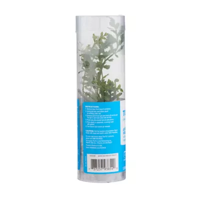 Product Top Fin® African Water Fern Live Plant