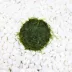 Top Fin Moss Aquarium Plant image thumbnail 2
