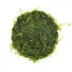 Top Fin Moss Aquarium Plant image thumbnail 3