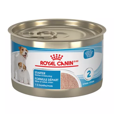 Product Royal Canin® Canine Care Nutrition Starter Mousse Adult Dog Food