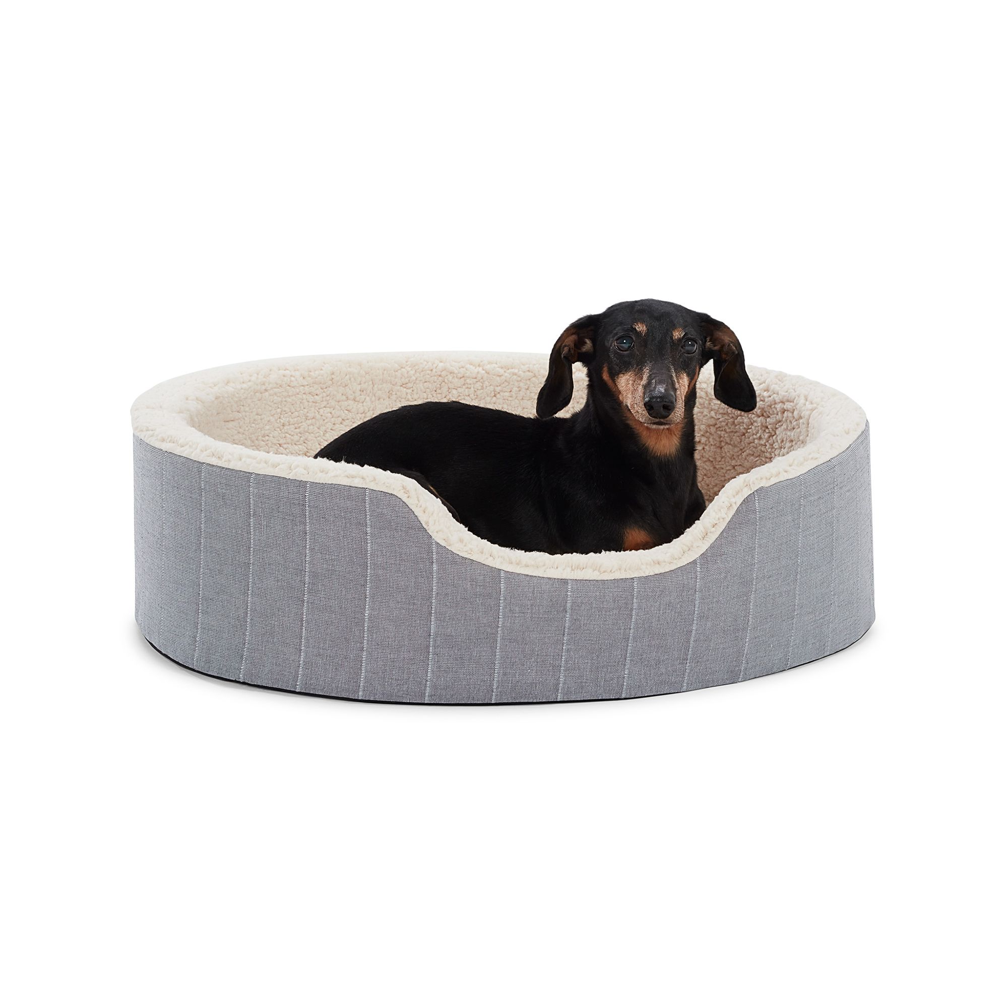 PetSmart Dog Beds